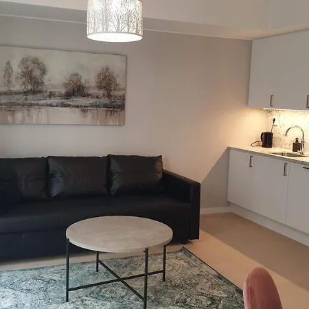 Bjorvika City Center Daire Oslo
